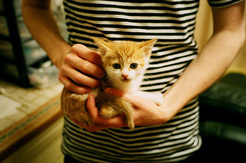 体育博览会展示最新科技成果,体育博览会展示最新科技成果有哪些